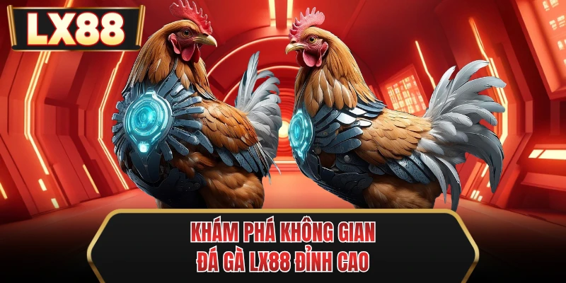 kham pha khong gian da ga mu88 dinh cao kham pha khong gian da ga mu88 dinh cao