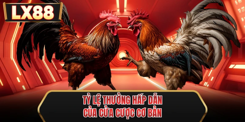 ty le thuong hap dan cua cua cuoc co ban ty le thuong hap dan cua cua cuoc co ban